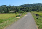 Image Gallery 3