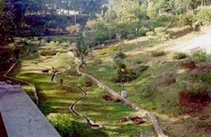 Construction of Park and Plantation beautification