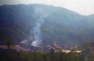 Industrial Units in Byrnihat