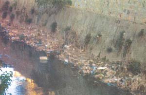 Water-pollution at Umkhrah stream 