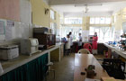 lab
