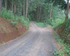 Approach Road from Syad Village to Nongjri Village