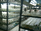 Forestry Laboratory at 4th Mile, East Khasi Hills District - dated 23-06-2017