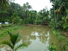 Beneficiary Fish Pond Jongkol Baghmara, South Garo Hills District - dated 21-04-2017